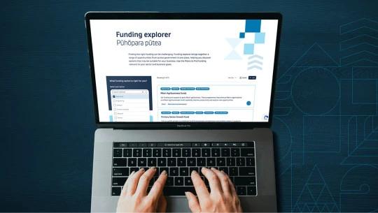 Open laptop with hands on keyboard, looking at funding explorer tool page