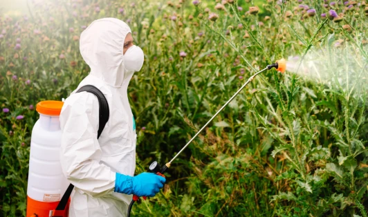A person dressed in protective clothing and a face mask, spraying foliage. wi